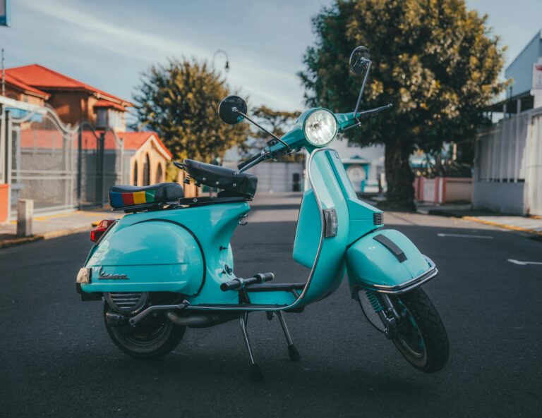 vespa vaucluse